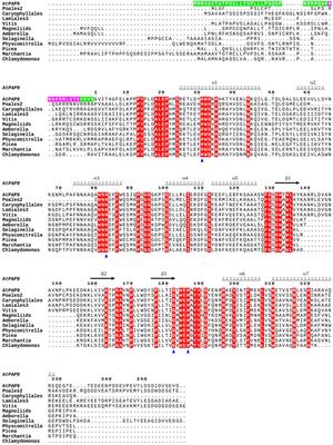 The Plastid-Encoded RNA Polymerase-Associated Protein PAP9 Is a Superoxide Dismutase With Unusual Structural Features